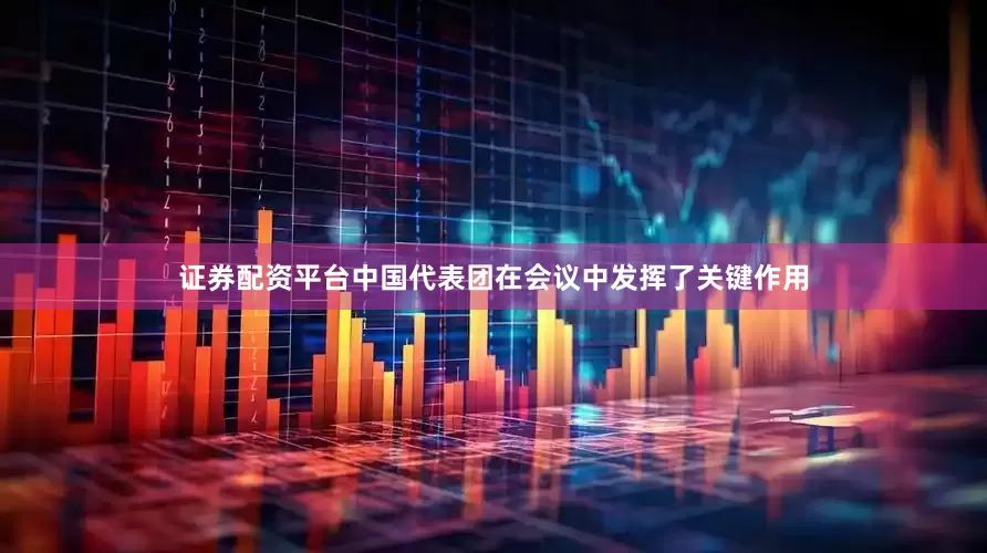 证券配资平台中国代表团在会议中发挥了关键作用