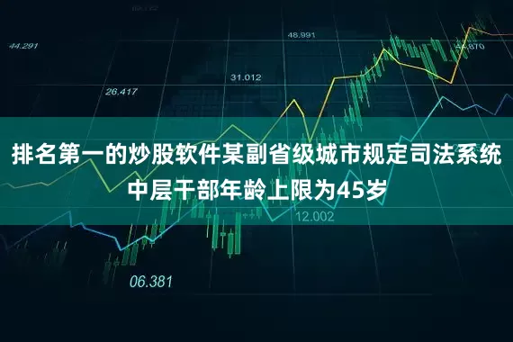 排名第一的炒股软件某副省级城市规定司法系统中层干部年龄上限为45岁