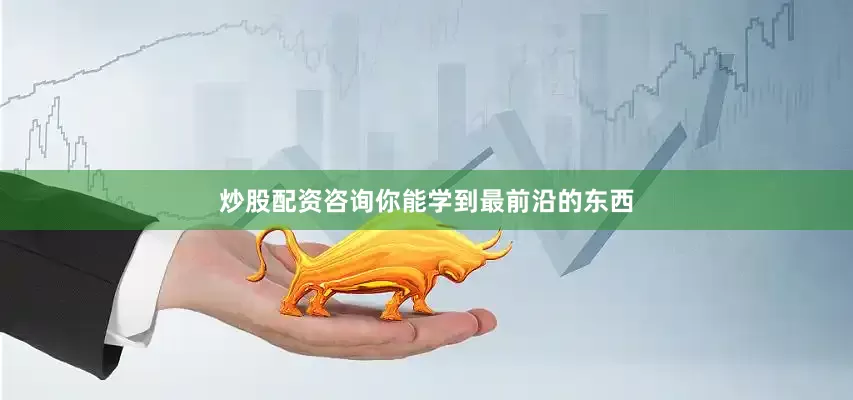 炒股配资咨询你能学到最前沿的东西