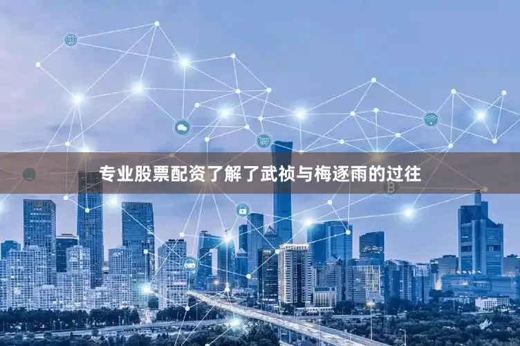 专业股票配资了解了武祯与梅逐雨的过往