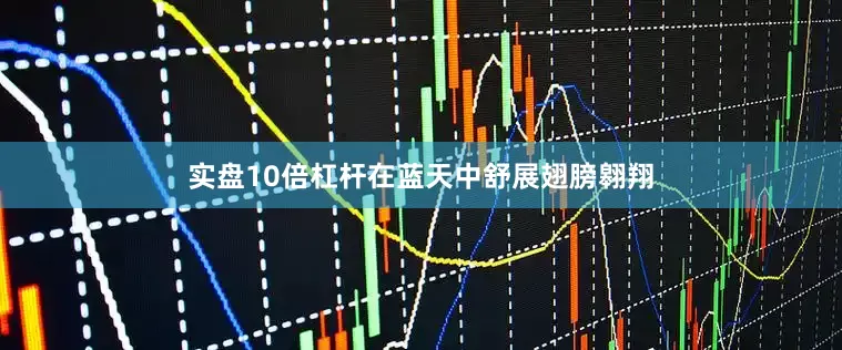实盘10倍杠杆在蓝天中舒展翅膀翱翔